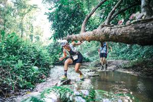 BIB: 
                            <button type="button" onclick="openModal(25435119)" class="btn btn-primary btn-sm float-right btn-popup" data-toggle="modal" data-target=".modal-high-quality">
                        <i class="fas fa-shopping-cart"></i> Add to Cart
                    </button>
                                            <button type="button" onclick="isThisMe(25435119, true)" class="btn btn-success btn-sm float-right btn-popup btn-isme hidden" data-toggle="tooltip" data-placement="bottom" title="นี่คือรูปของคุณใช่ไหม คลิกที่นี่เพื่อเอาเข้าอัลบั้ม">
                        <i class="fas fa-plus"></i> Add to album
                    </button>
                    <button type="button" onclick="isThisMe(25435119, false)" class="btn btn-warning btn-sm float-right btn-popup btn-isnotme hidden">
                        <i class="fas fa-ban"></i> Remove from album
                    </button>